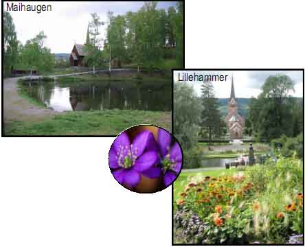 Maihaugen & Lillehammer